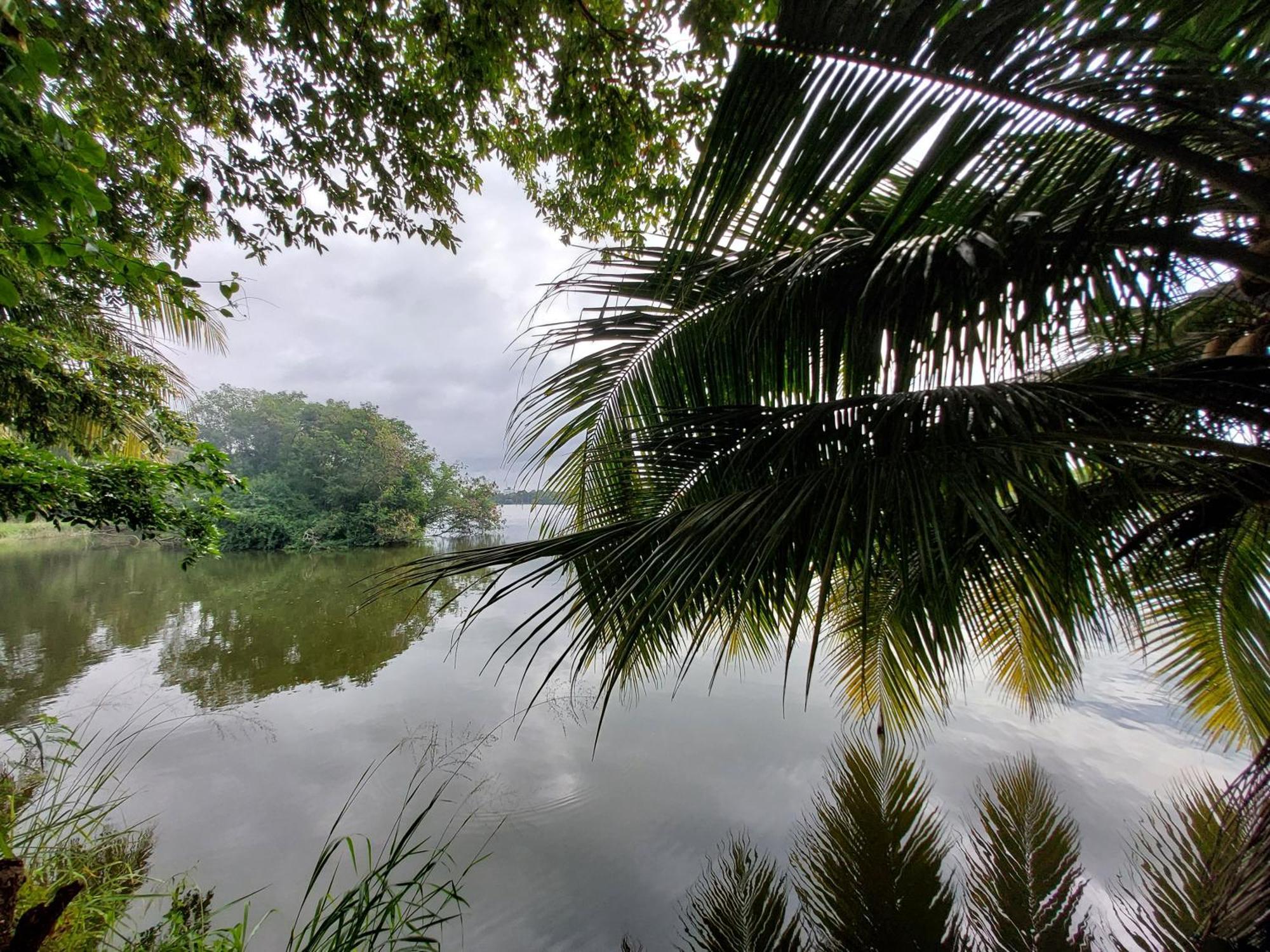 Lake Wave Hotel Anuradhapura Eksteriør billede