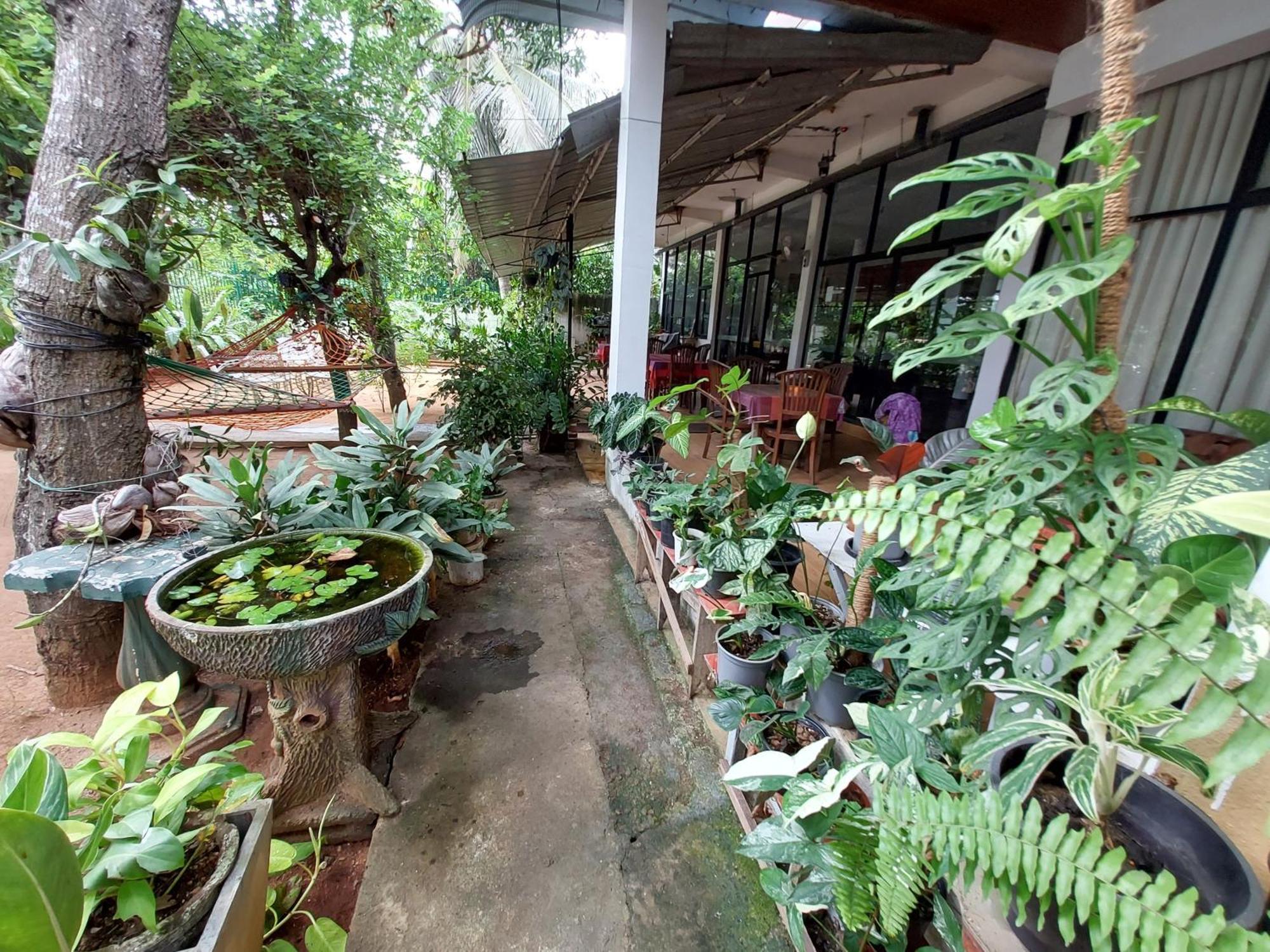 Lake Wave Hotel Anuradhapura Eksteriør billede